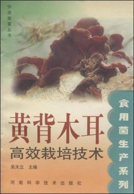 黄背木耳如何包装