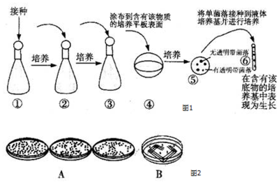 蛋白质加工分类包装