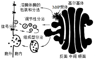 蛋白质加工分类包装