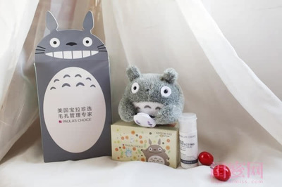 龙猫包装