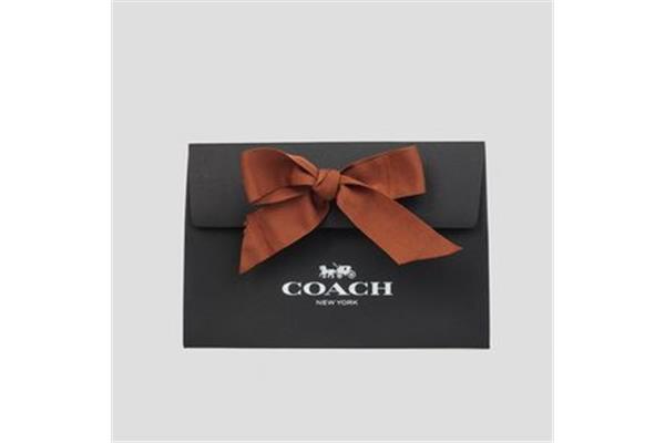 coach包装袋深圳