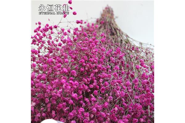 花店的原材料和包装