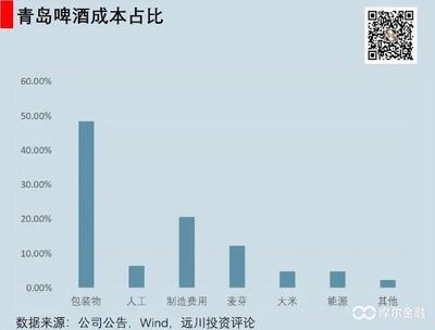 青岛啤酒包装费用