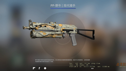 csgo pp
