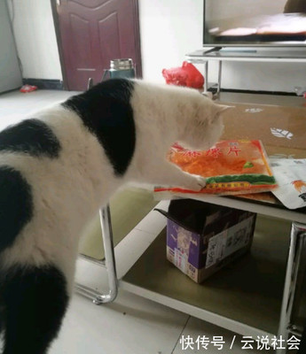 辣条包装是猫的