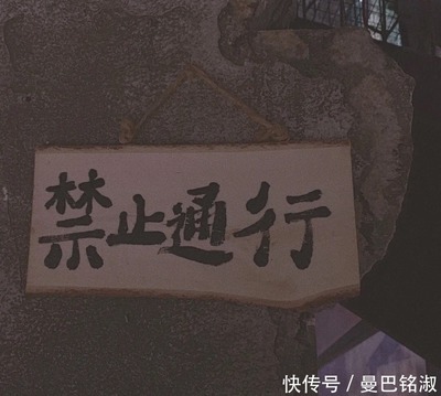 奋斗往往是苟且的包装