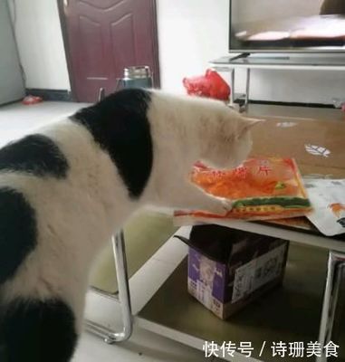 辣条包装是猫的