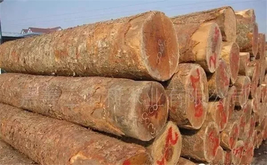 什么样的木头适合重物包装