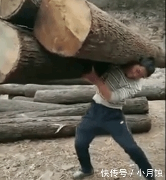 什么样的木头适合重物包装