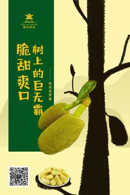 密柚包装商标
