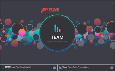 team pro pp下载