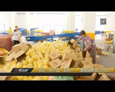 密柚包装商标