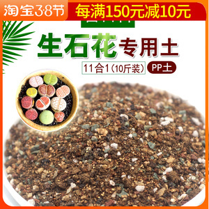 pp花种子怎么种