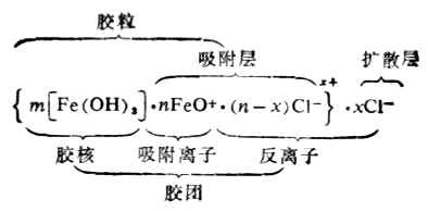 泰尔丝红色与蓝色包装