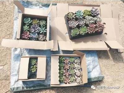 心形产品怎麼包装
