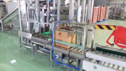 深圳茶叶分装包装机