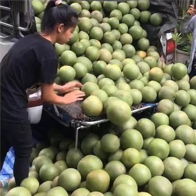 越南西瓜包装