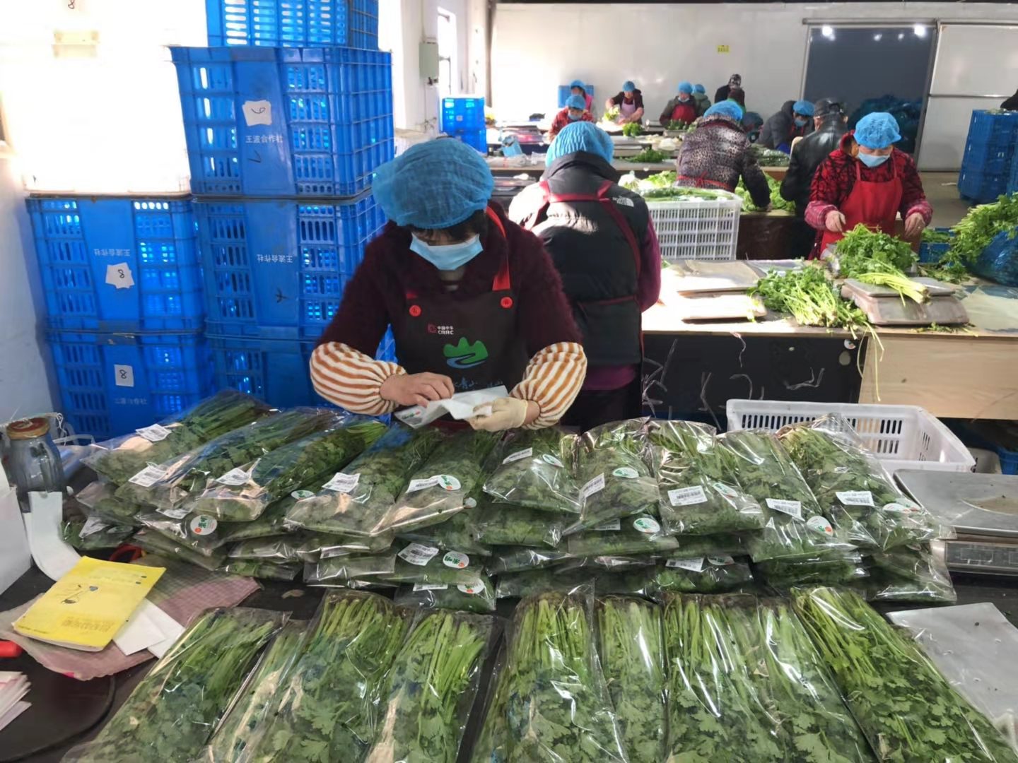 熟菜加工包装