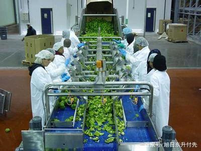 熟菜加工包装