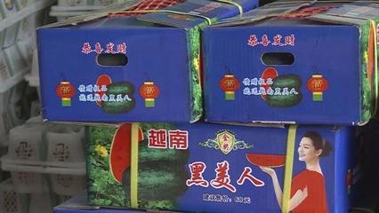 越南西瓜包装