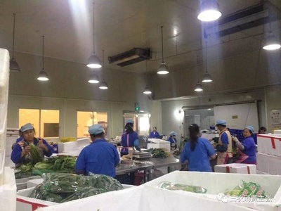熟菜加工包装