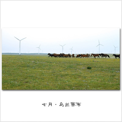 乌兰察布pp排水管