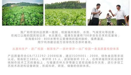福州茶叶包装员招聘信息