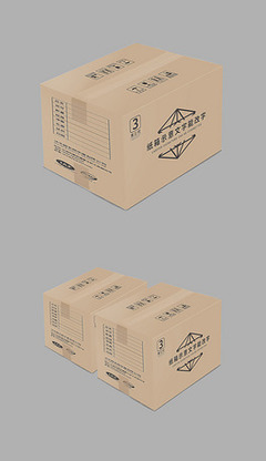 产品包装物纸箱纸袋计入