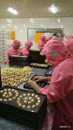 惠安包装招聘信息