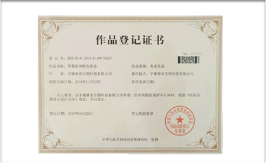 包装盒版权