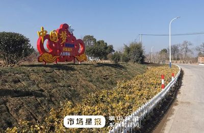 合肥艺都包装