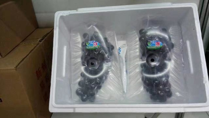 葡萄用什么包装