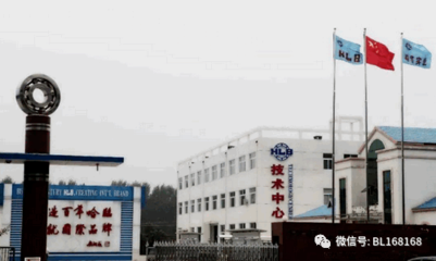 临清哈临轴承包装女工