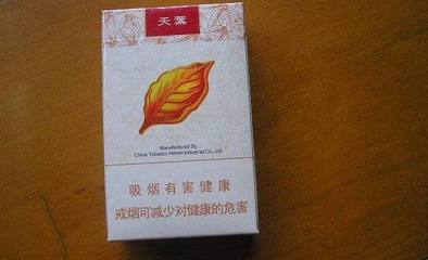广州天叶包装