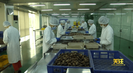 包装属于食品安全产业的