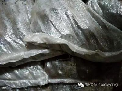 危险货物包装举例