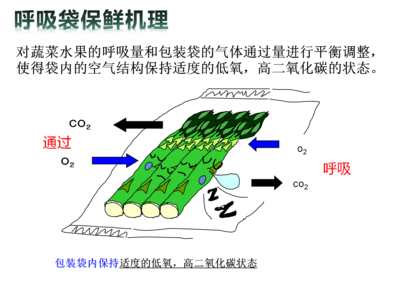 气调包装中各气体作用