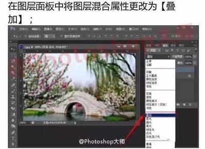 pp照片怎么下载