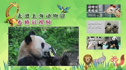 动物广告设计术语