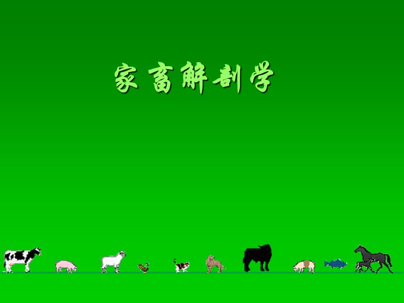 动物广告设计术语