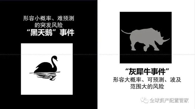 动物广告设计术语