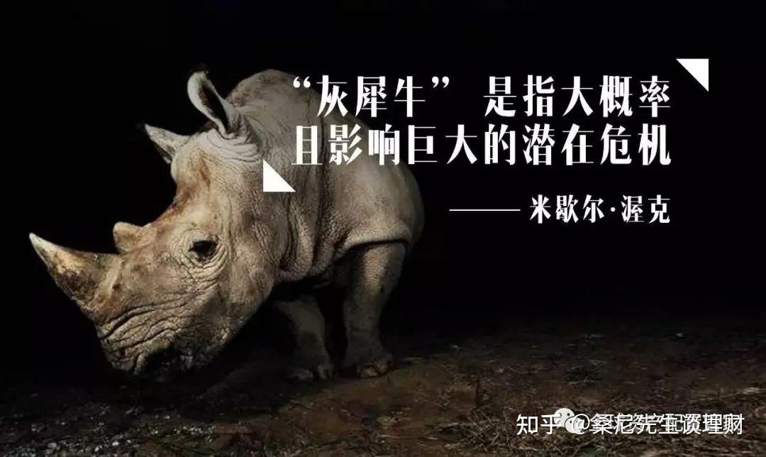 动物广告设计术语