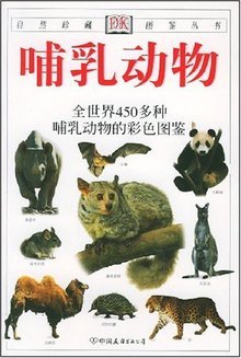 动物广告设计术语