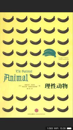 动物广告设计术语