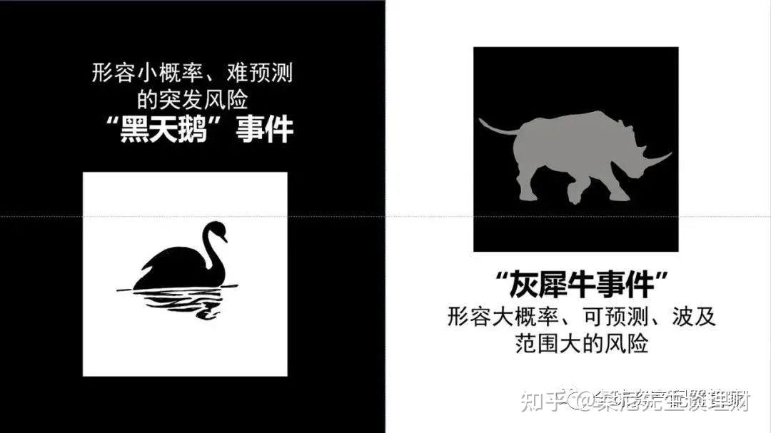 动物广告设计术语