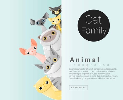 family广告设计师是谁