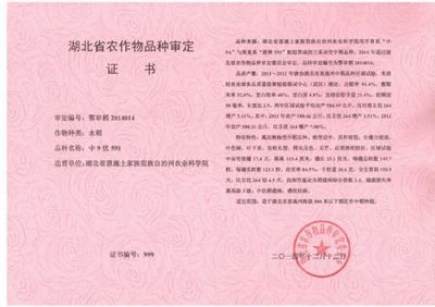 阜南县西伟广告设计部