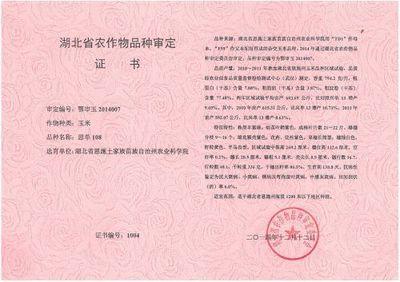 阜南县西伟广告设计部