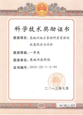 阜南县西伟广告设计部